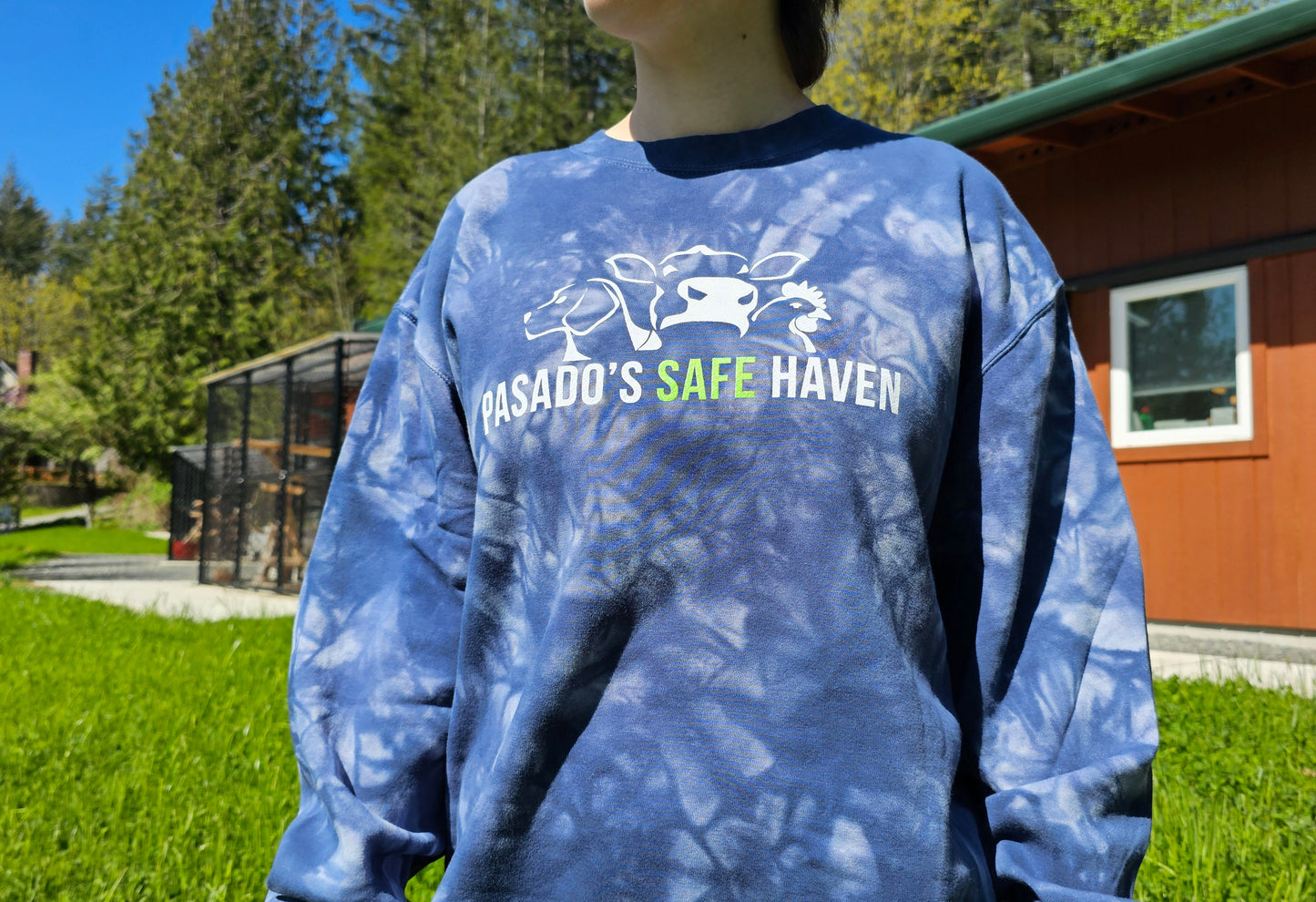 Tie Dye Crew Sweatshirt