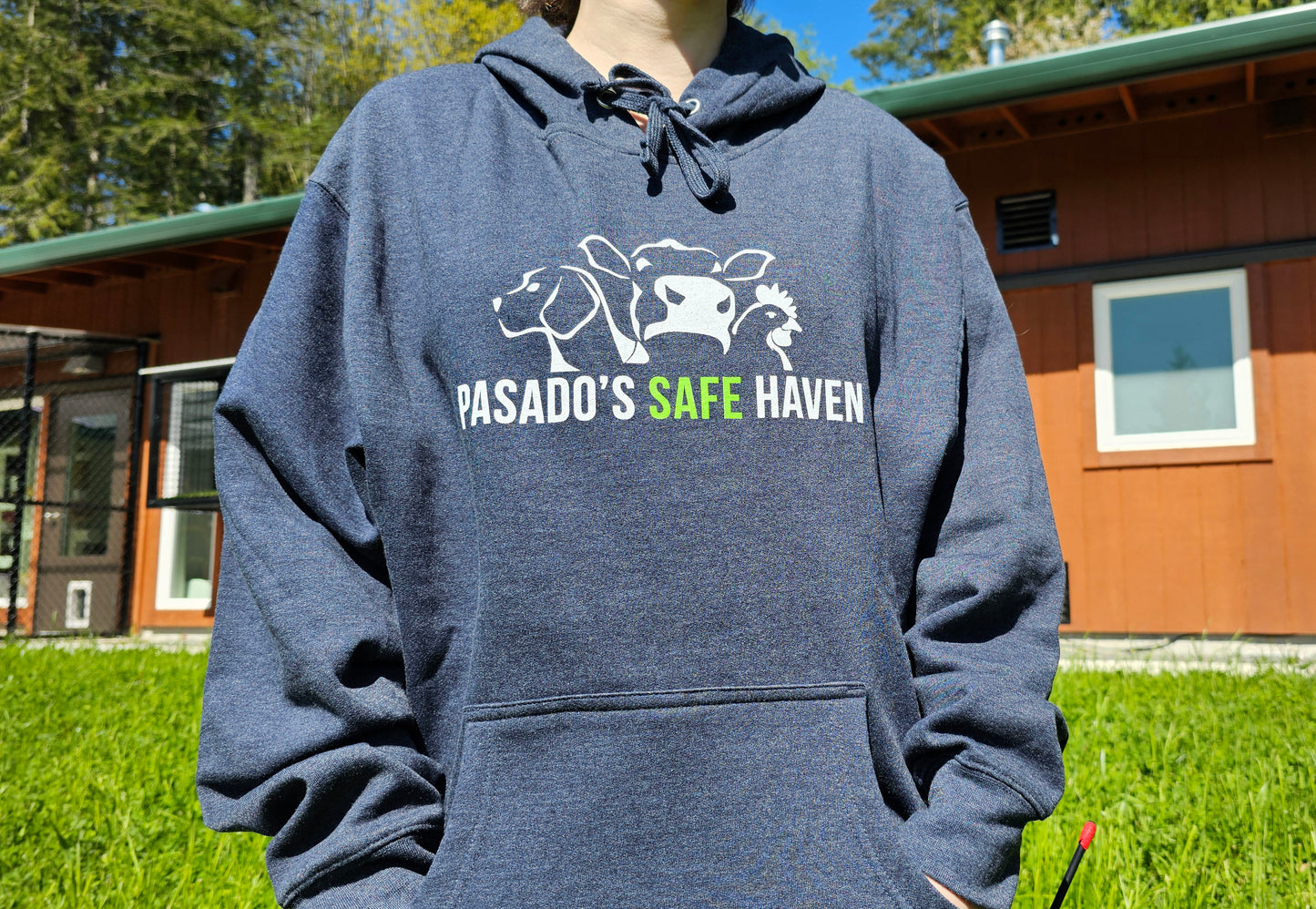 Classic Hoodie Sweatshirt