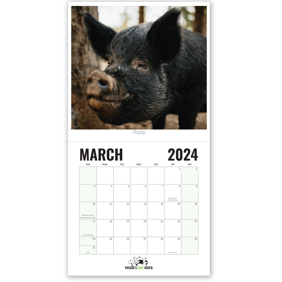 2024 Calendar