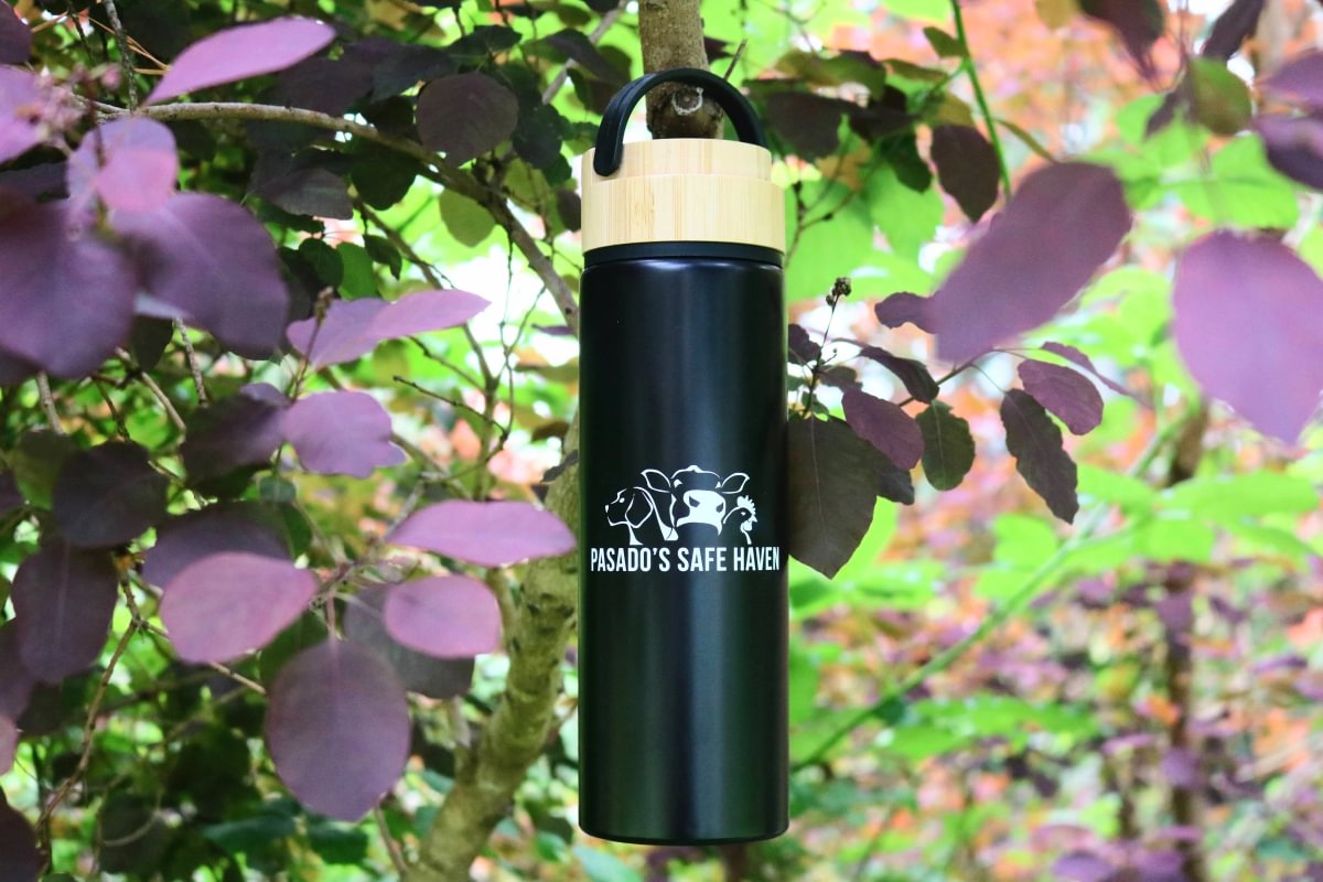 27oz Logo Bottle