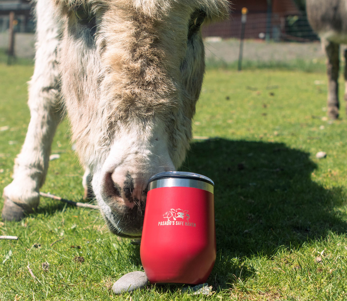 Wine Tumbler