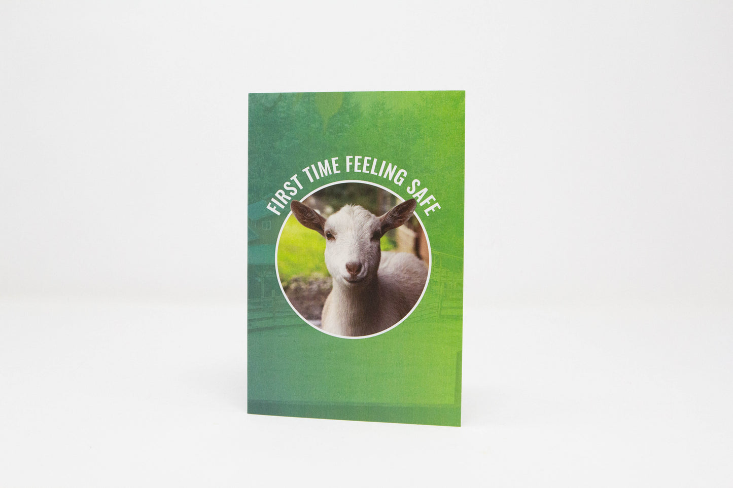 First Time Feeling Safe