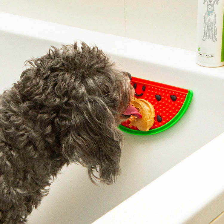 Watermelon Lick Mat