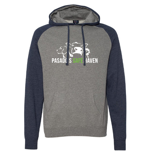 Colorblock Hoodie Sweatshirt