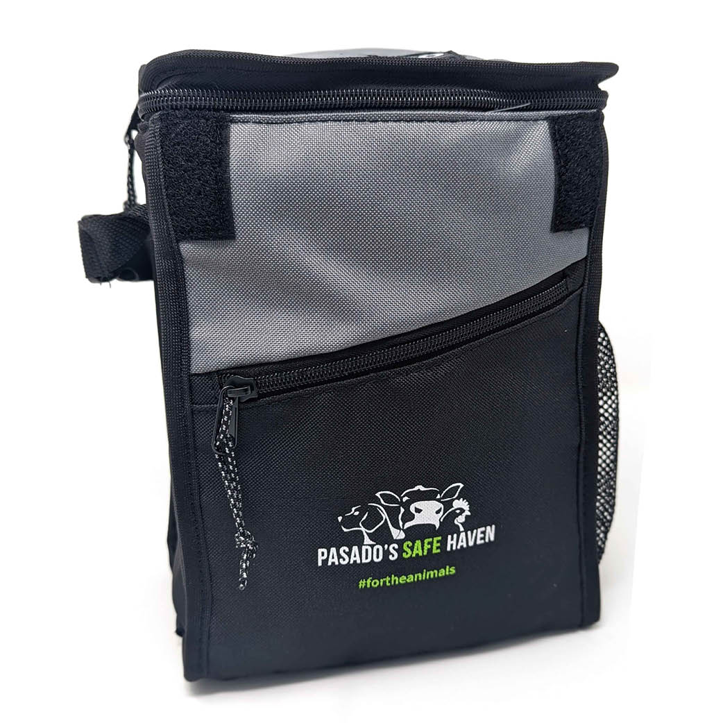 Logo Lunch Bag