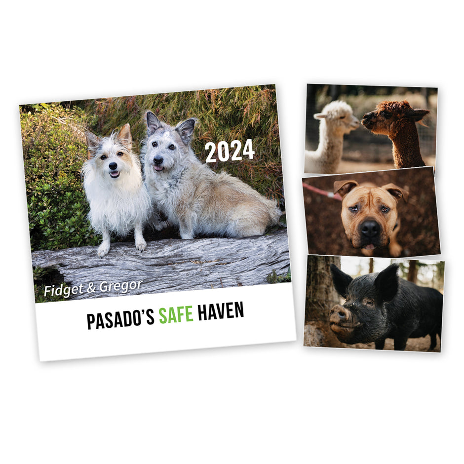 Products Pasado's Safe Haven