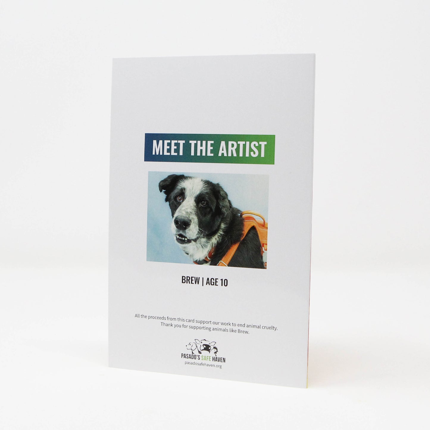 New Animal Art Greeting Cards