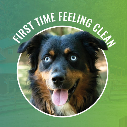 First Time Feeling Clean