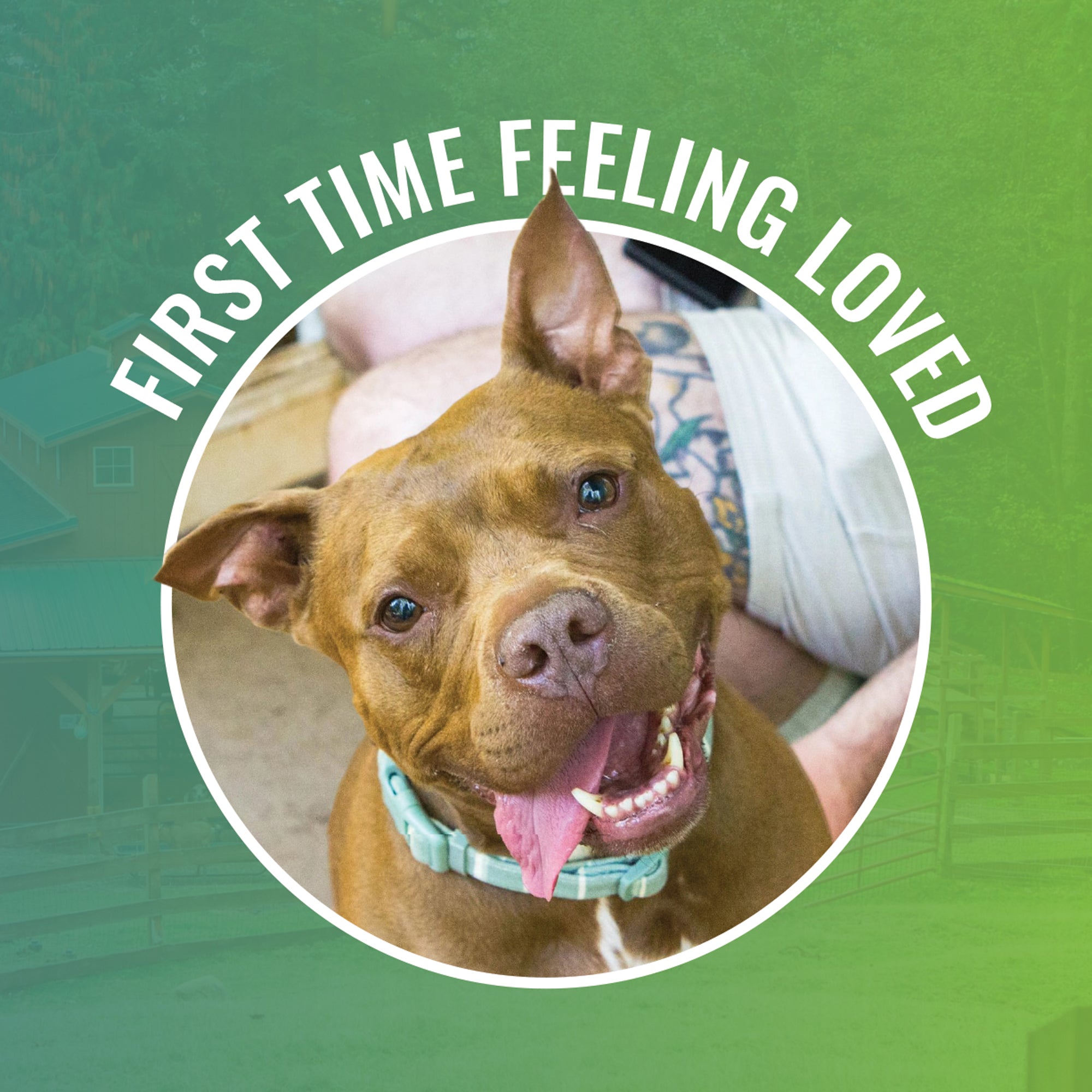 First Time Feeling Loved – Pasado's Safe Haven