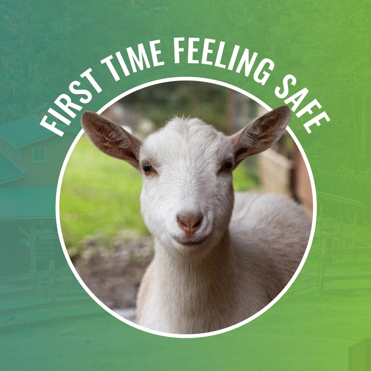 First Time Feeling Safe