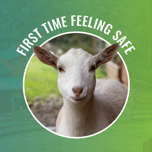 First Time Feeling Safe