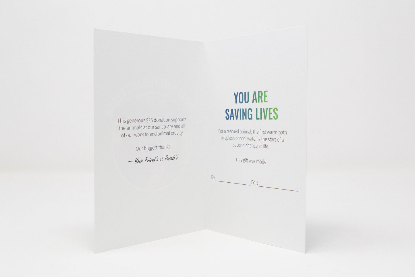 First Time in the Sunlight