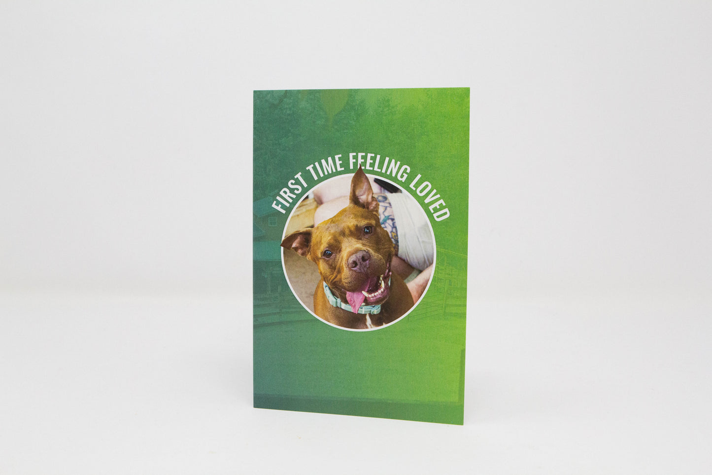 First Time Feeling Loved