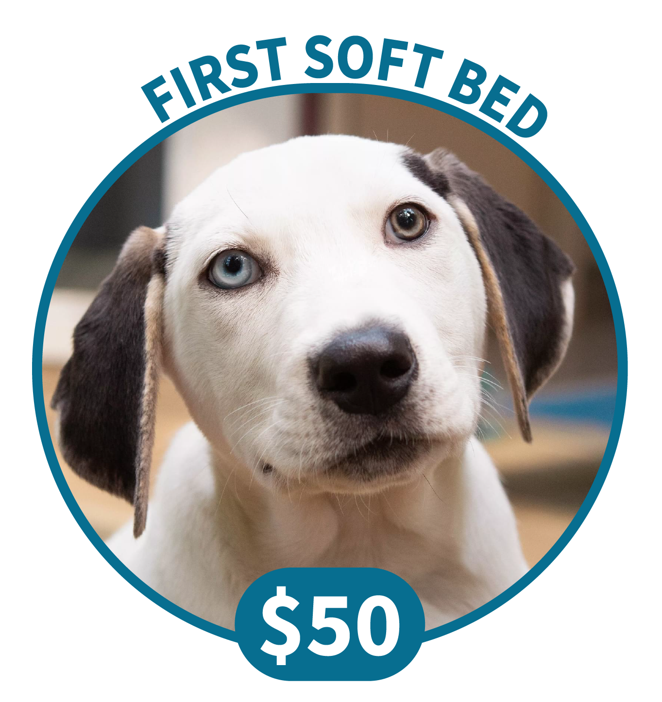 First Soft Bed