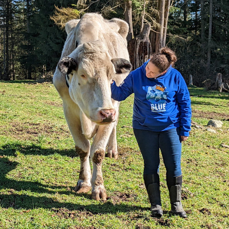 Youth Blue Sweatshirt