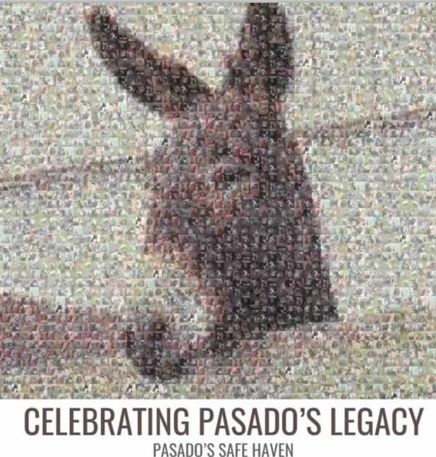Celebrating Pasado's Legacy (Commemorative Book)