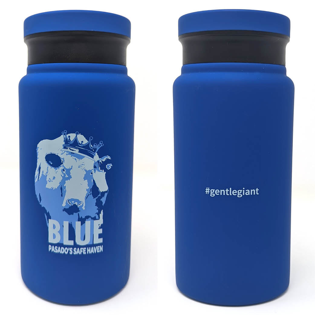 Blue Water Bottle